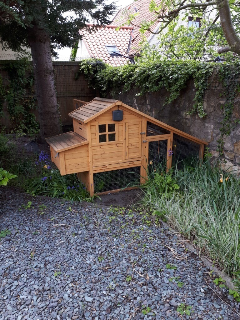 Sussex chicken coop with omlet auto door and double run. in Pathhead