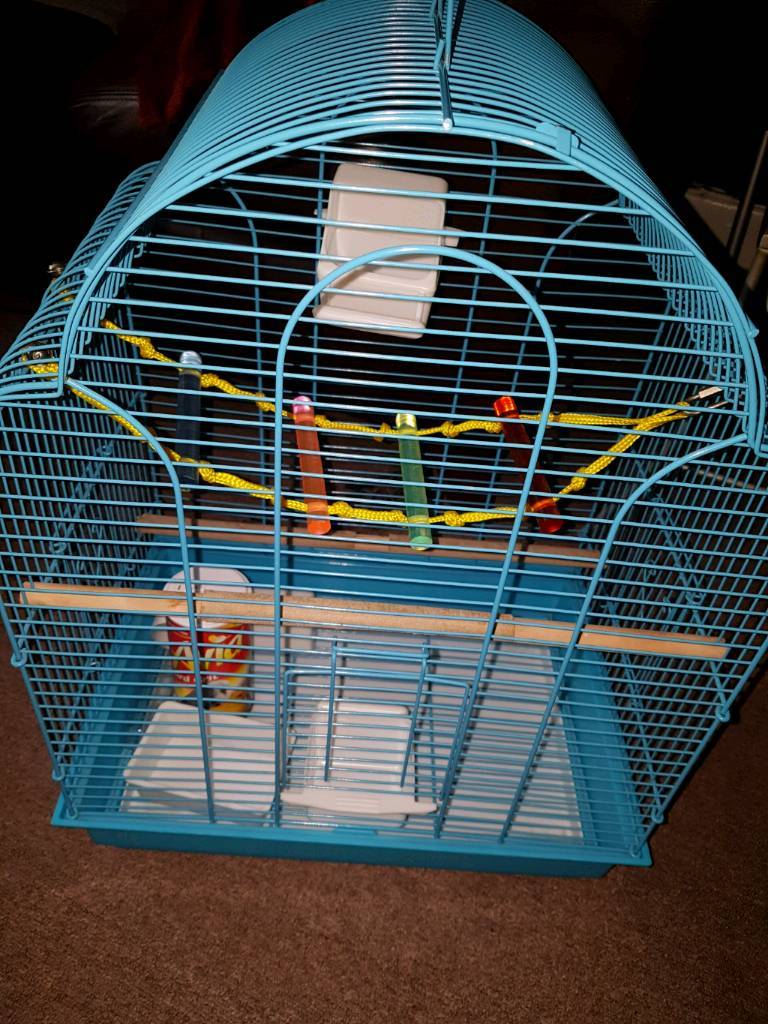 Bird cage in Ealing, London Gumtree