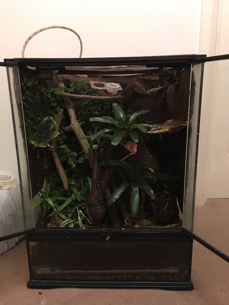 Exo Terra Vivarium Bioactive 45x45x60 in Southside, Glasgow Gumtree