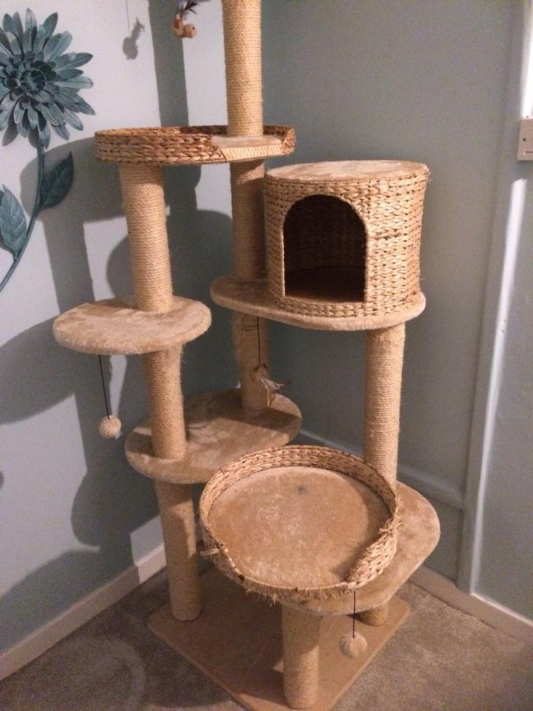Extra large cat scratch post in Shrewsbury, Shropshire Gumtree