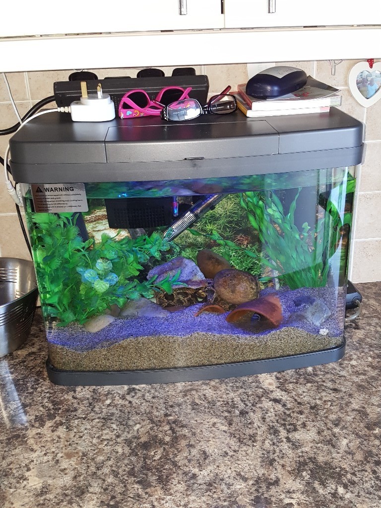 Fish tank complete tropical set up in Plymouth, Devon Gumtree