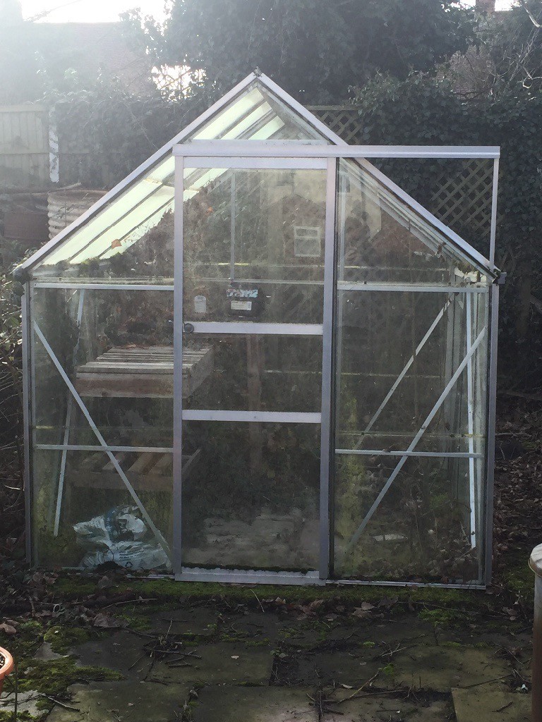 6x6 Greenhouse for sale in Alvaston, Derbyshire Gumtree