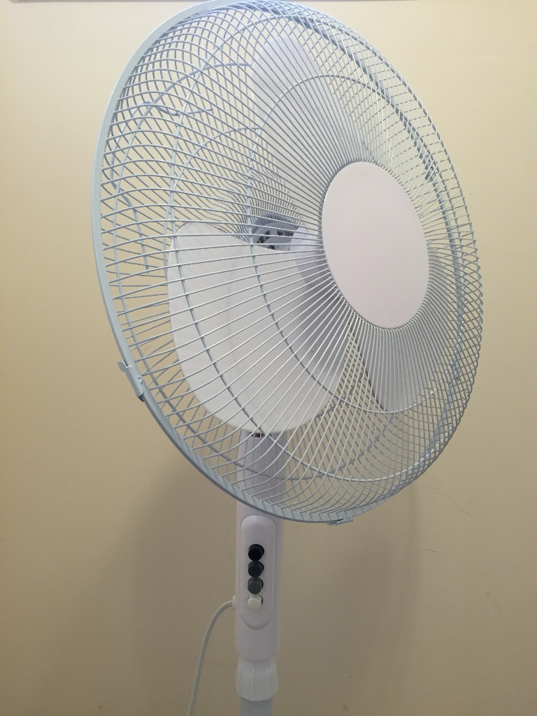 Proline Pedestal Fan in Cambridge, Cambridgeshire Gumtree