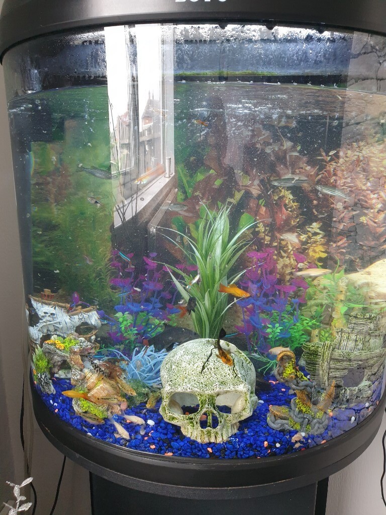 Boyu fish tank and stand in Rotherham, South Yorkshire Gumtree