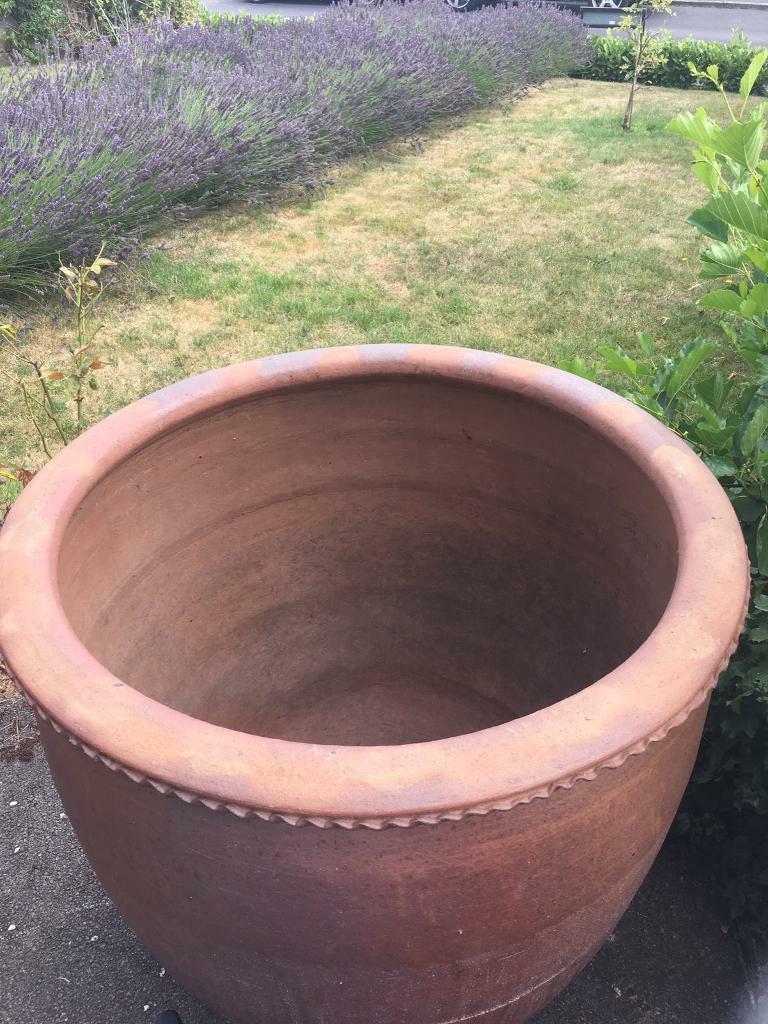 Very Large Terracotta  Plant  Pot  in Exeter Devon Gumtree