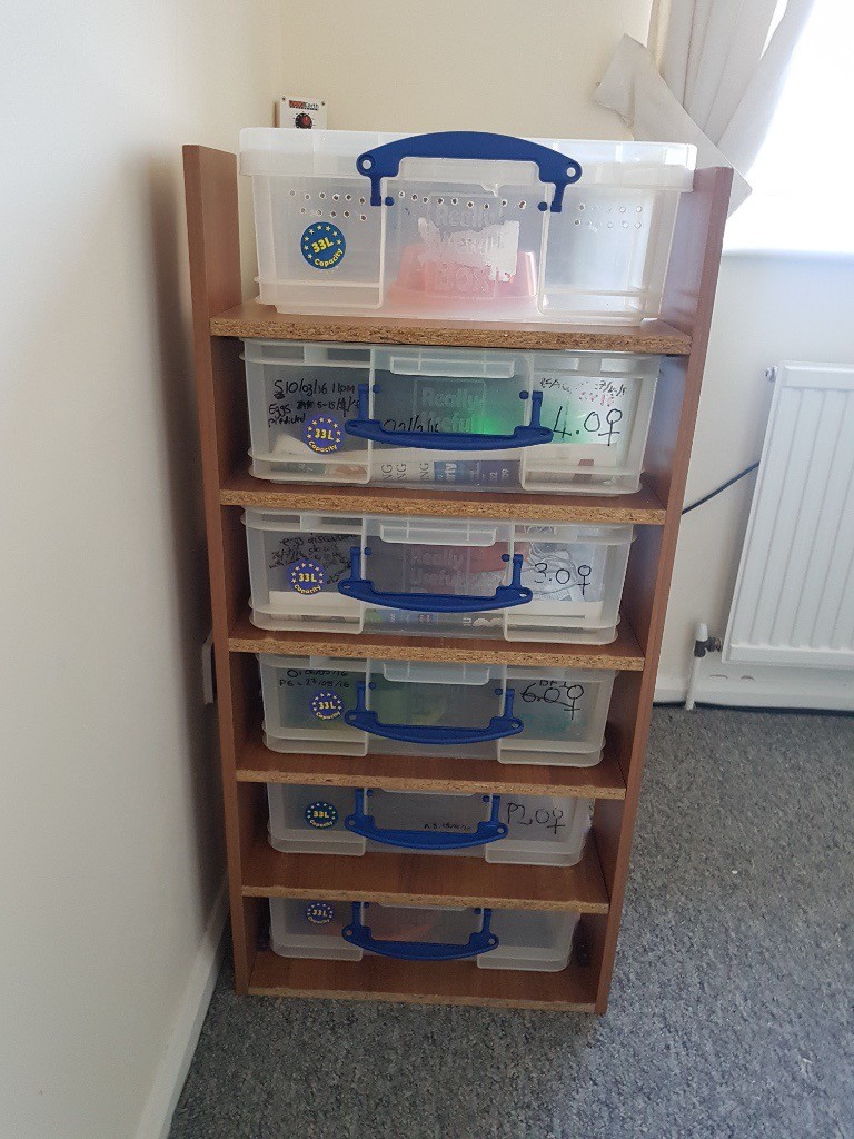 Snake / lizard / reptile rack system setup with 6 x 33l RUB in Mold