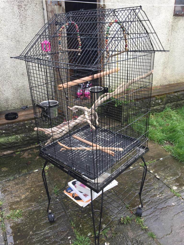 Bird cage and accessories in Llantwit Major, Vale of Gumtree