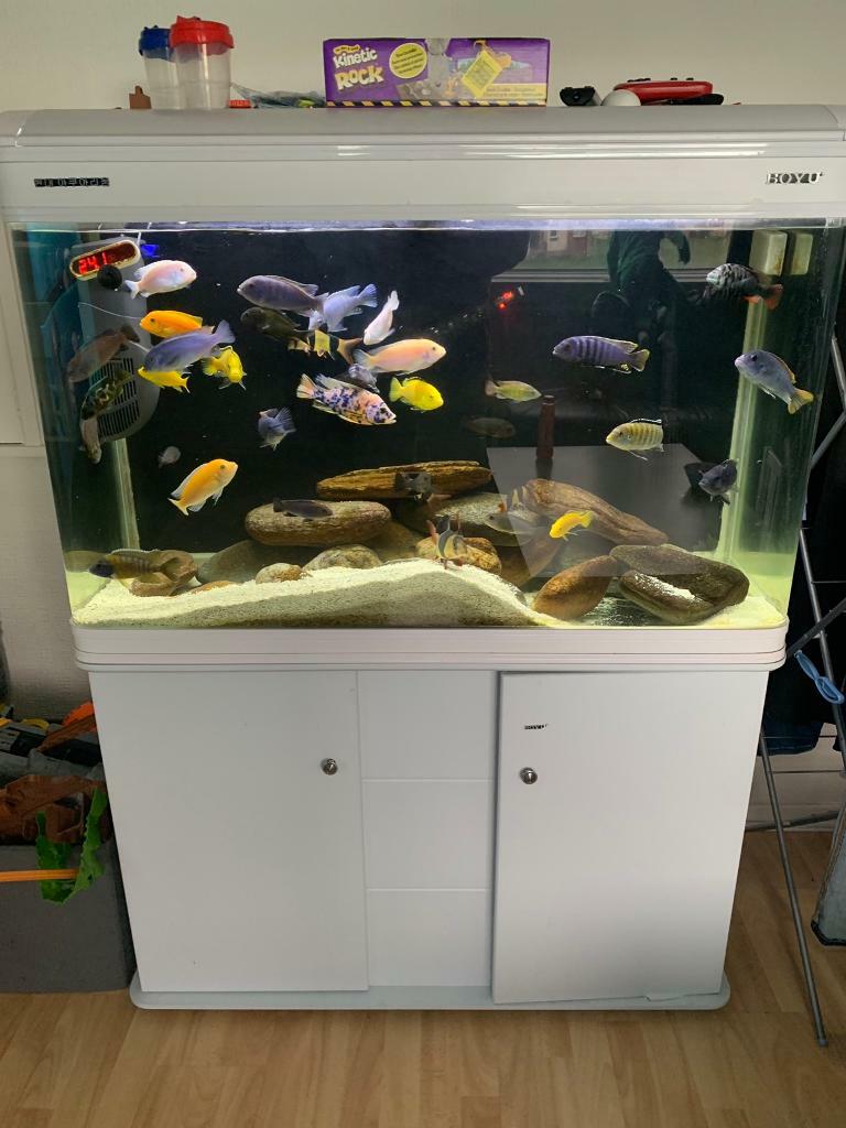 White 250litre fish tank and stand with LED lights in Carrick Knowe