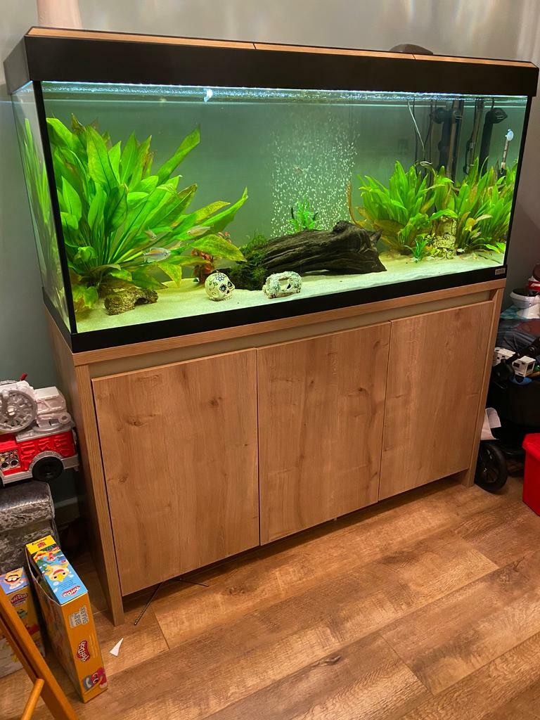 Fluval Roma 240 fish tank and in Caerphilly Gumtree