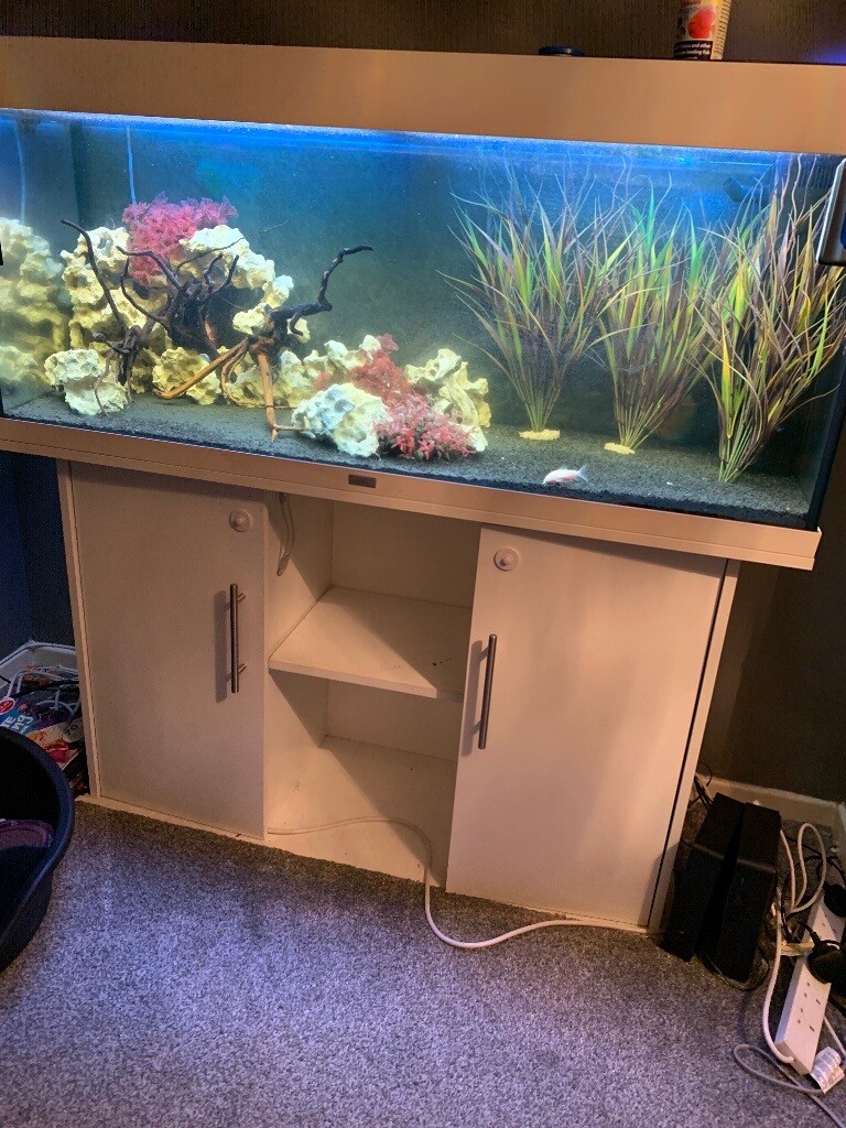 Large white fish tank in AshtonunderLyne, Manchester Gumtree