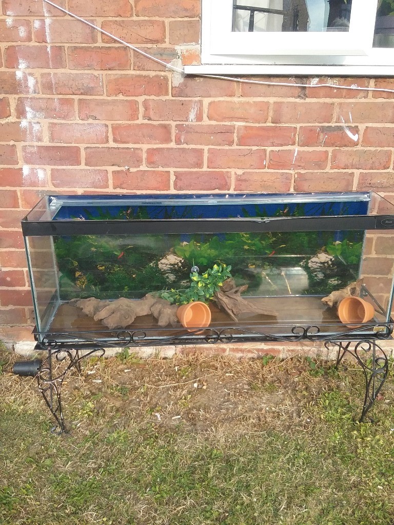 4ft fish tank on a black wrought iron stand. Bogwood and hide pots