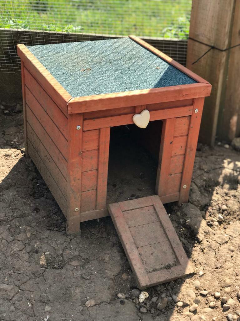 Plastic chicken coop canada Cadbury has hidden 146 Creme Eggs worth up to £10,000 in supermarkets across the UK