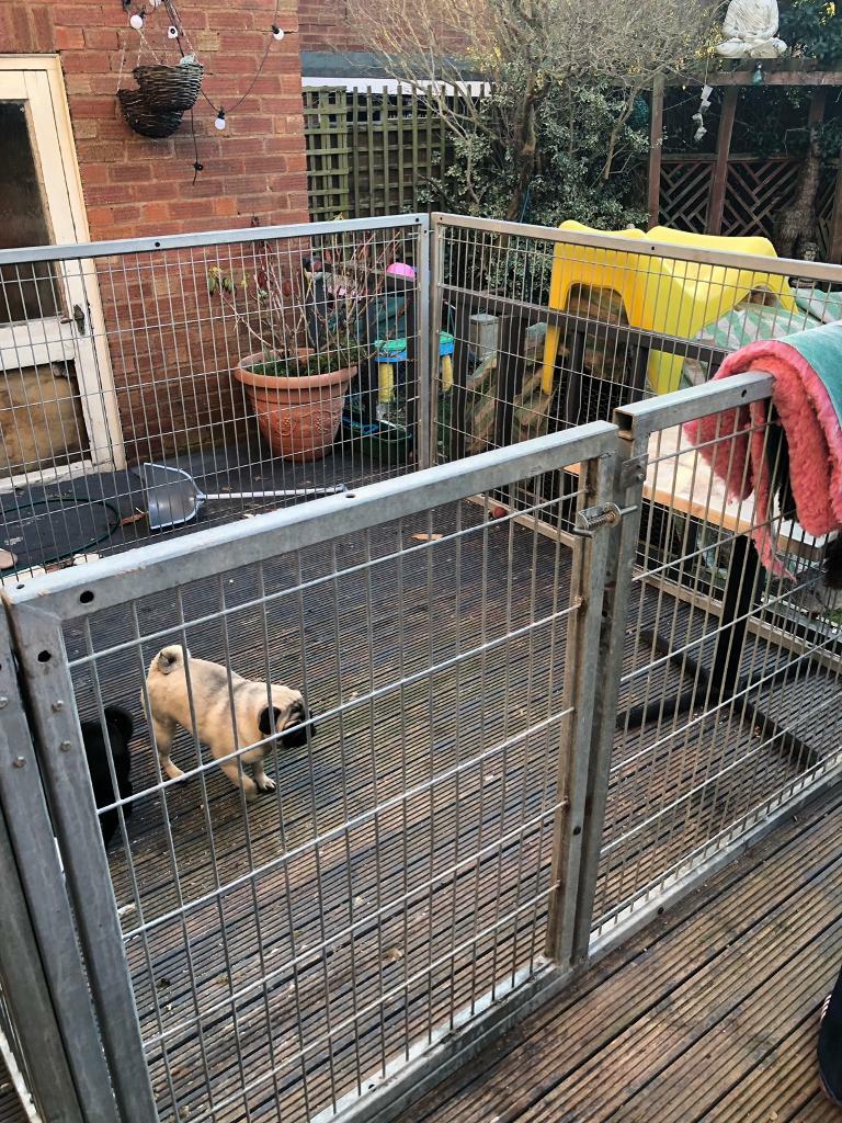 Galvanised dog kennel in Bournville, West Midlands Gumtree