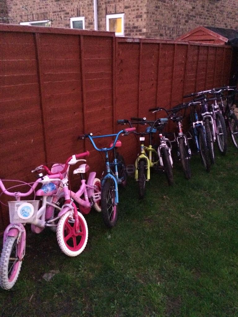 Job lot of bicycles in Sheffield, South Yorkshire Gumtree