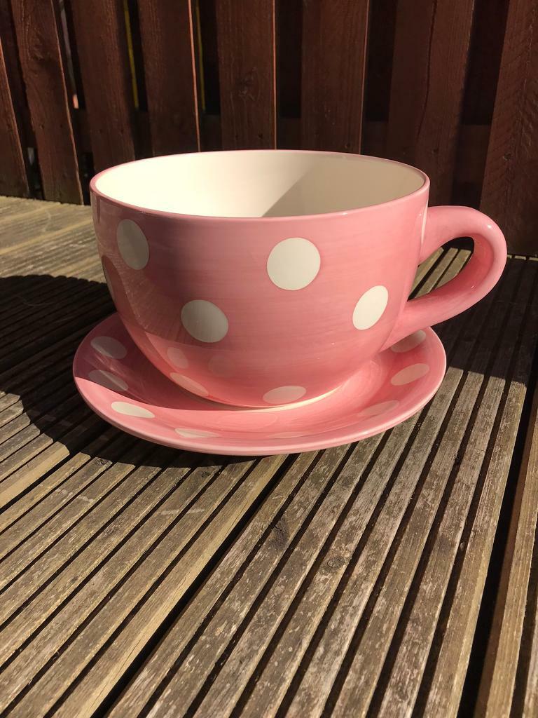 Dobbies giant tea cup and saucer planter in Southside, Glasgow Gumtree