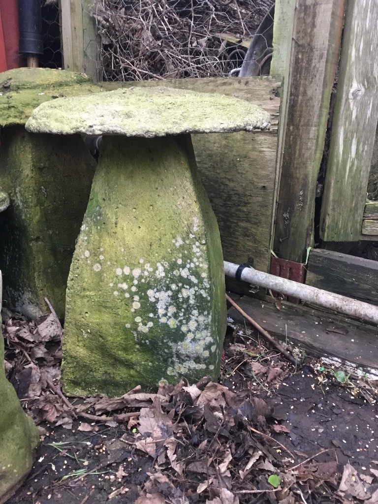 100lb concrete saddlestone in Hove, East Sussex Gumtree