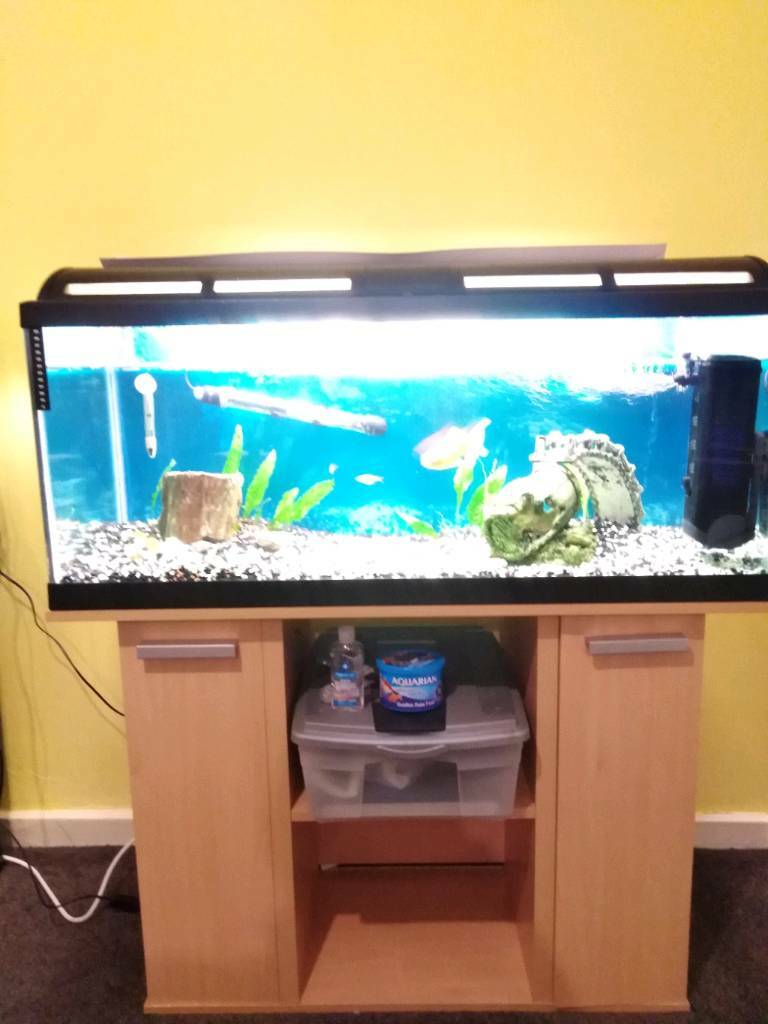 Fish tank. 160l in East Kilbride, Glasgow Gumtree