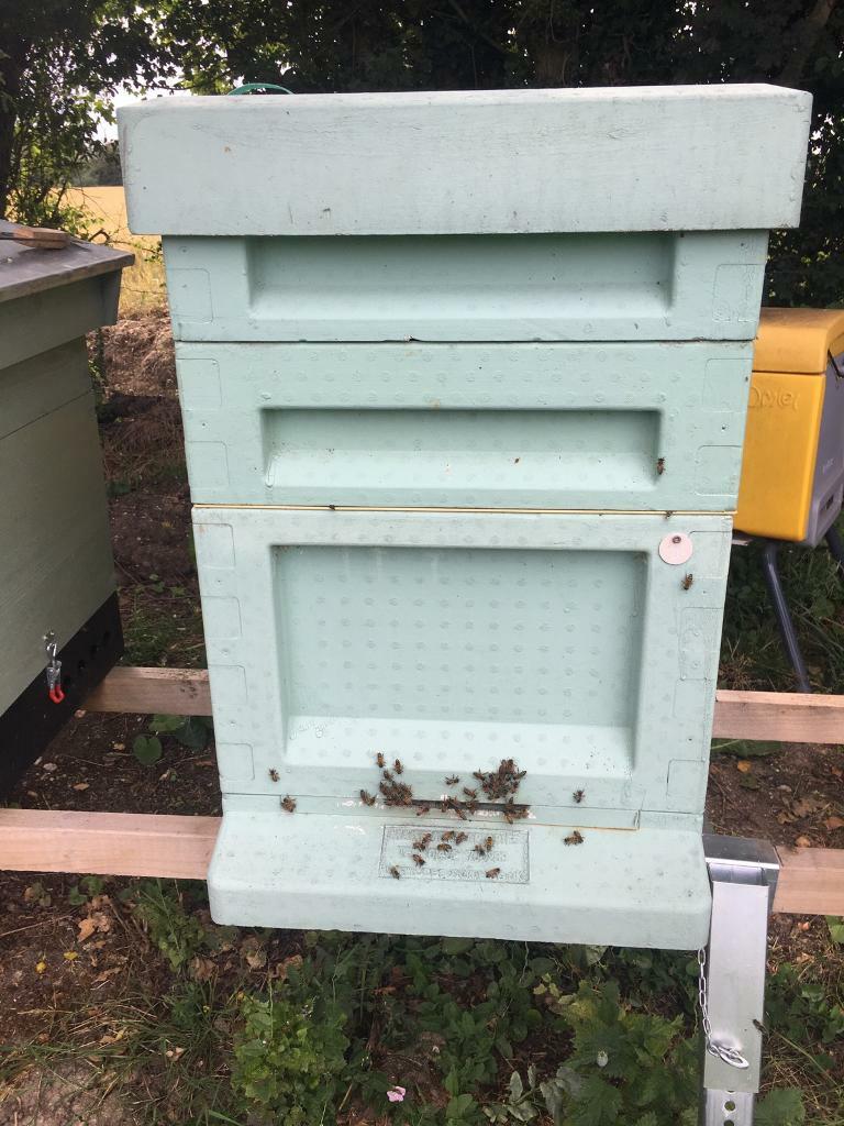 Maisemore 14x12 National Poly Beehive Hive Honeybees in Melton
