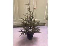 IKEA artificial potted Christmas tree FEJKA indoor plant 2ft Tall 27cms VGC
