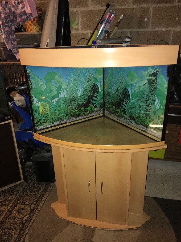 190l corner fish tank all clean with only stand tank light look pic no