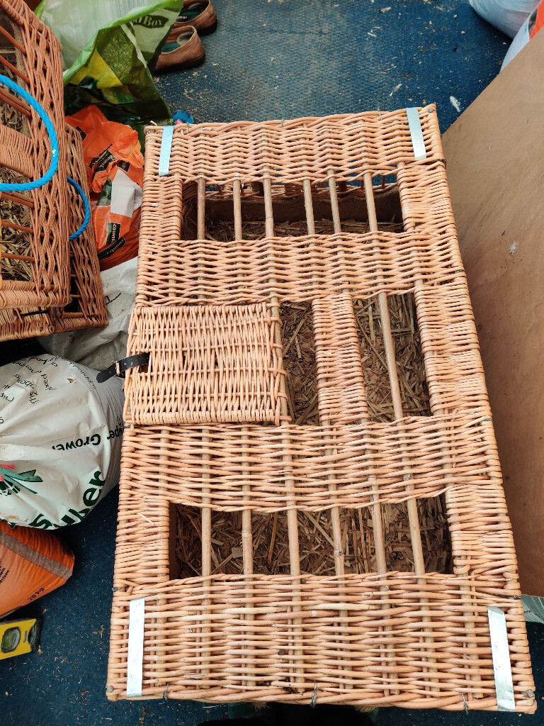Pigeon wicker basket | in Thornbury, Bristol | Gumtree