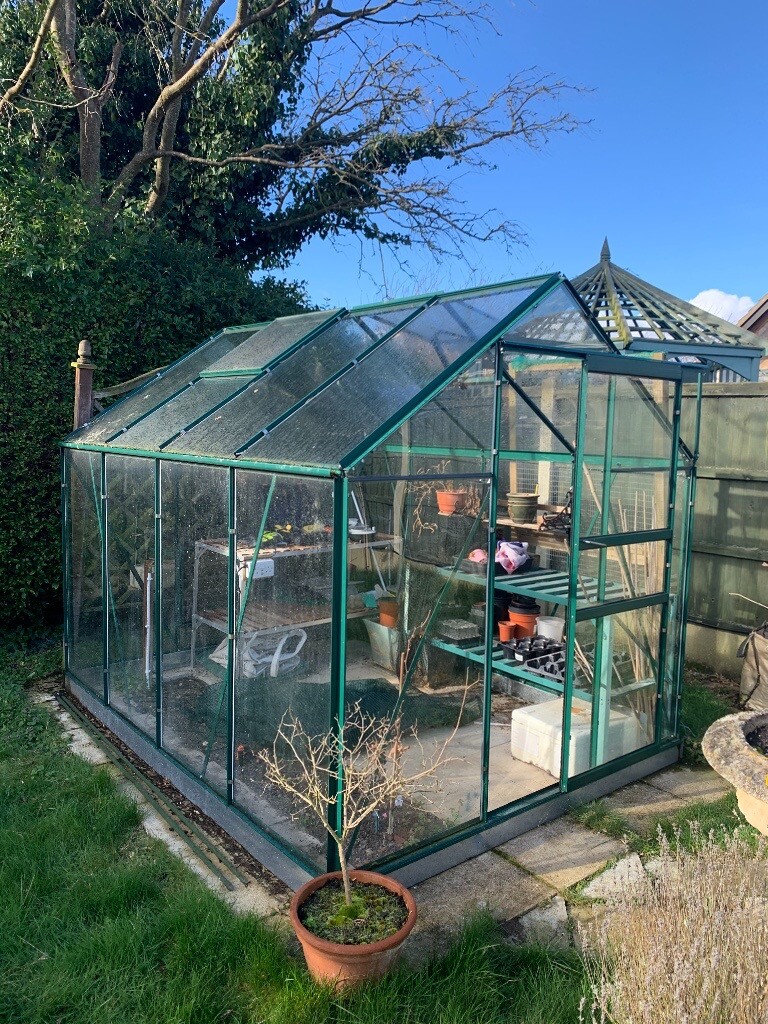 greenhouse-now sold in bradwell, norfolk gumtree