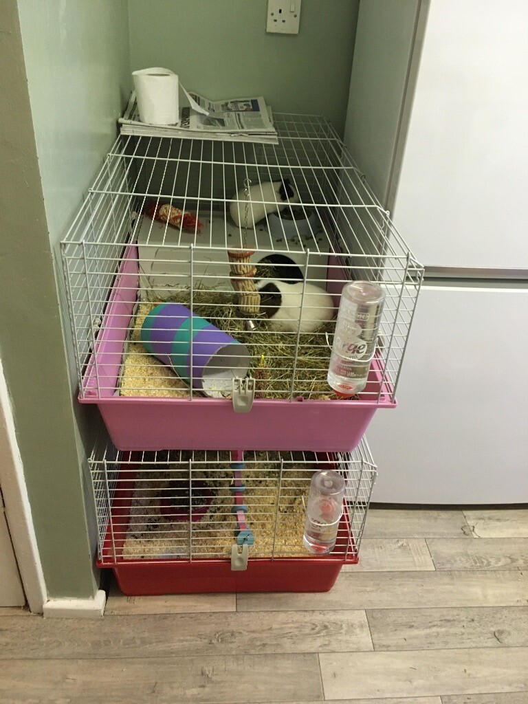 Indoor Rabbit cages x 2 | in Newbiggin-by-the-Sea, Northumberland | Gumtree