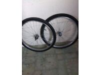 Mountain bike wheels