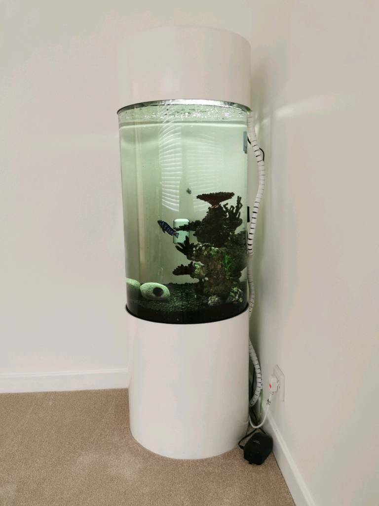White Tropical fish tank in Norwich, Norfolk Gumtree