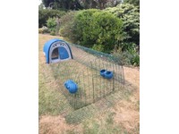 Omlet Eglu Chicken Coop For Sale In Uk View 37 Bargains