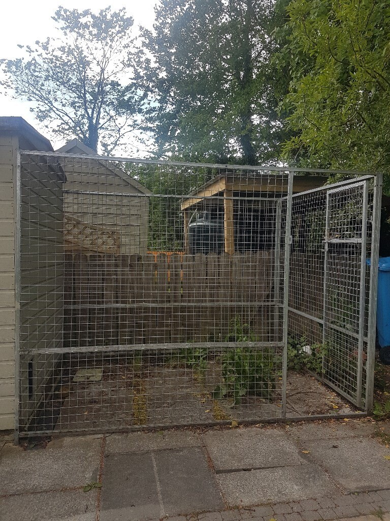 Galvanised 3 sided dog pen with door 8 x 6 foot in Maguiresbridge