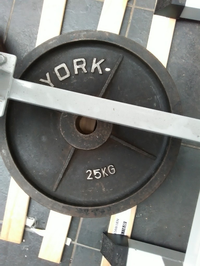 25kg Olympic Weights (pair) in BurtononTrent, Staffordshire Gumtree