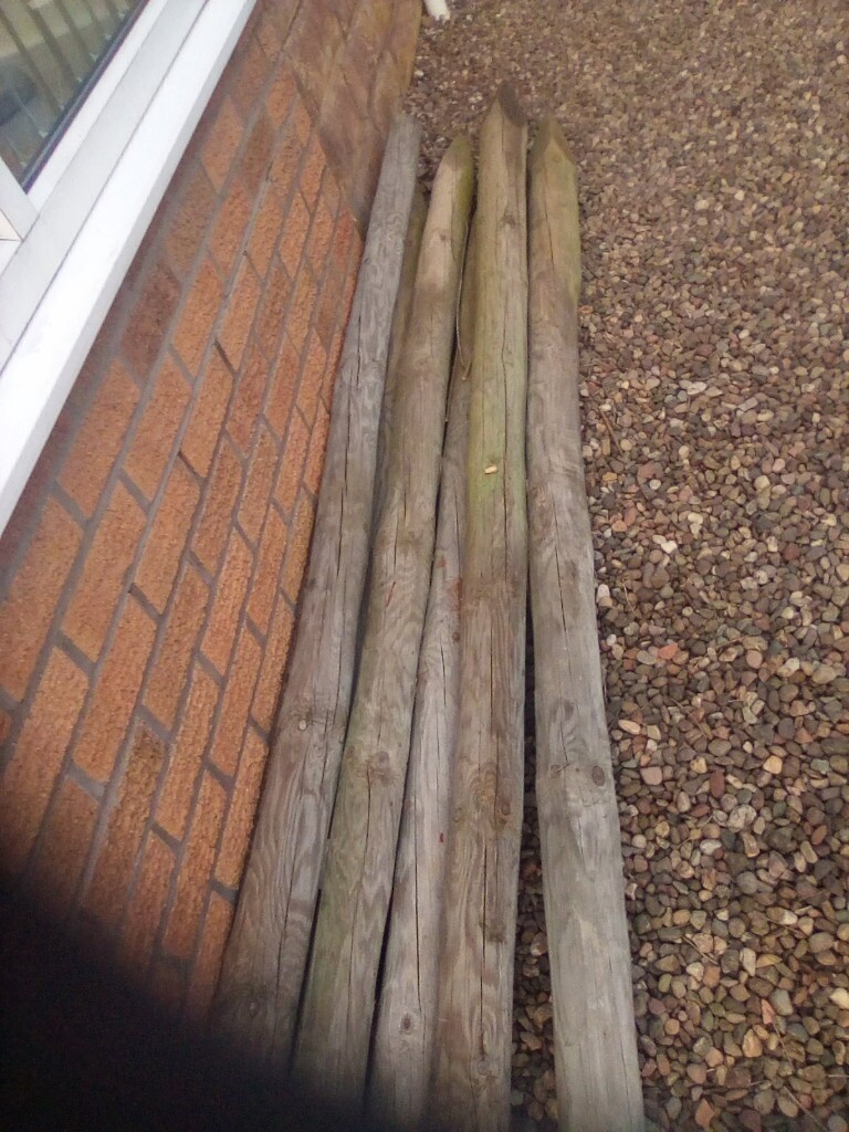 Extra long, extra strong fence posts in Dundee Gumtree