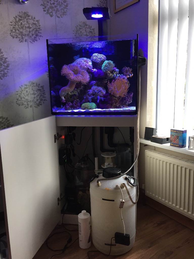 Red Sea reefer 170 full setup in Newthorpe, Nottinghamshire Gumtree