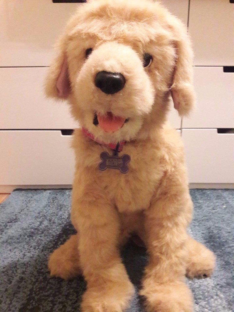 Furreal Friends Biscuit Dog My Lovin Pup Interactive HASBRO in Ayr