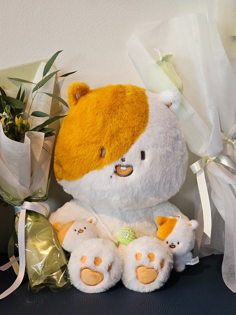nct dream jisung pocketjji hamster mouse doll set 10cm 40cm