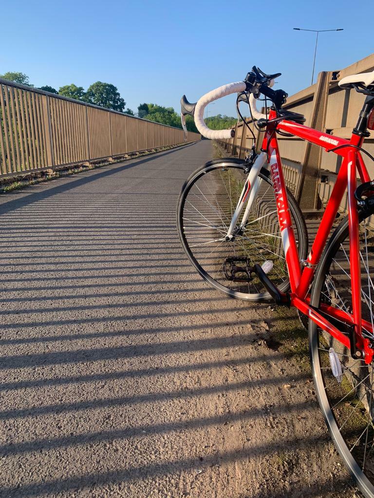 barracuda corvus mens road racing bike