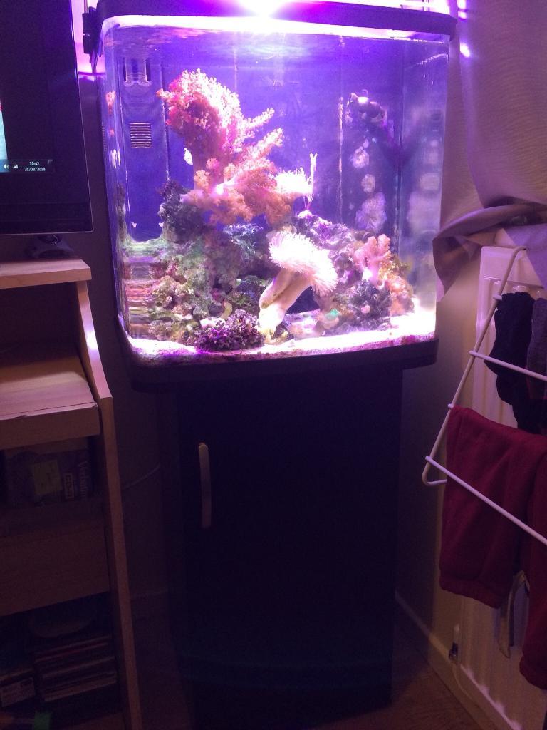 Marine Kent bio reef fish tank 94 L in Southall, London Gumtree