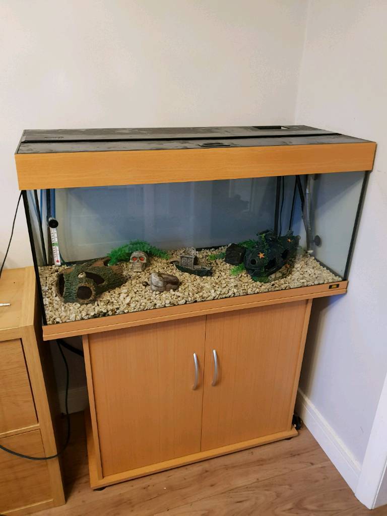 Juwel Rio 180 Aquarium | in Motherwell, North Lanarkshire | Gumtree