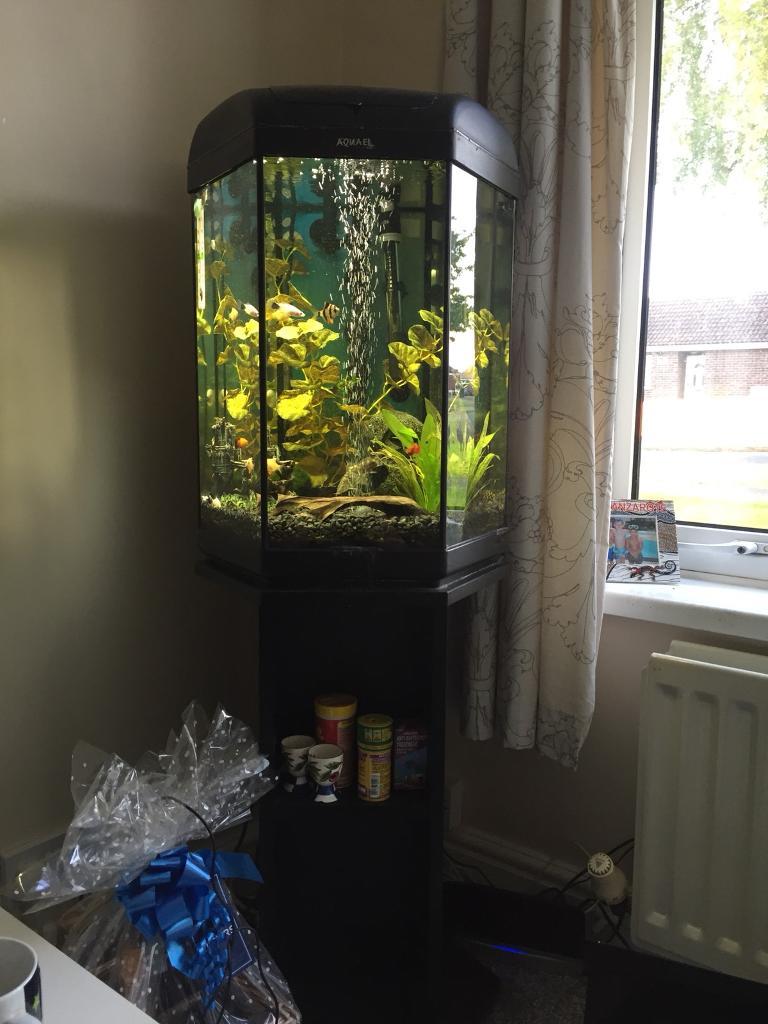 Fish tank with stand fish external filter and heater in Burgh Le