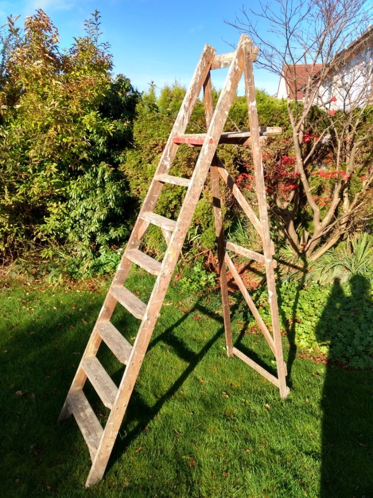 Large Wooden Step Ladders (well made and strong) in Stenhousemuir