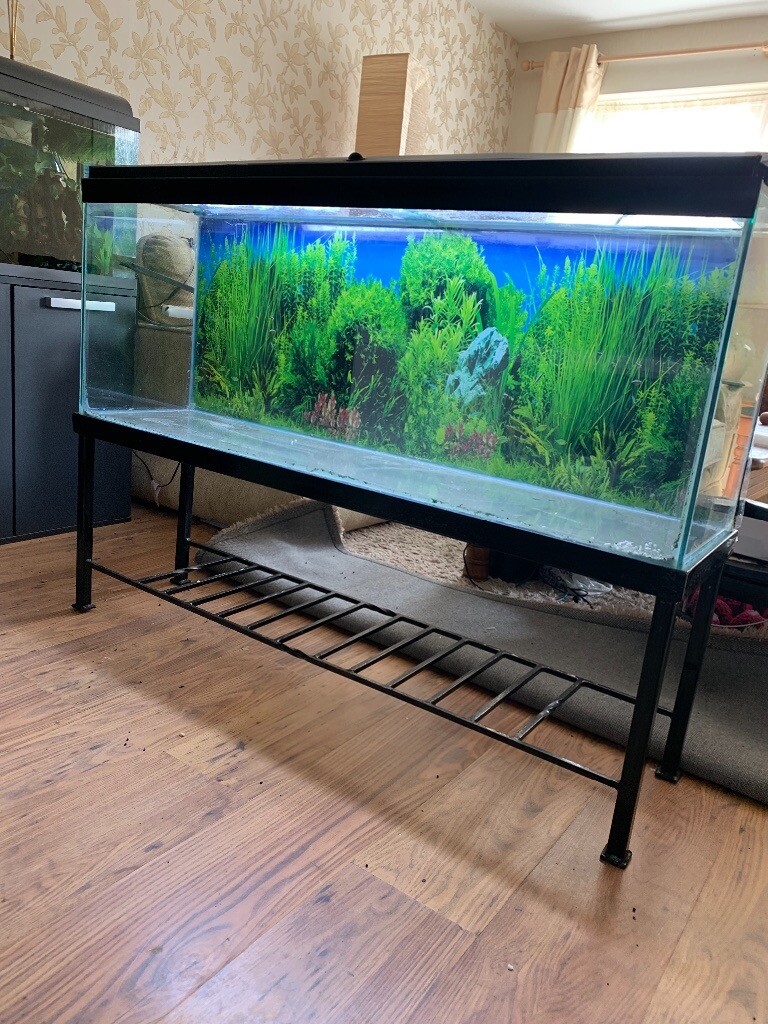 4 ft aquarium with stand in Rattray, Perth and Kinross Gumtree