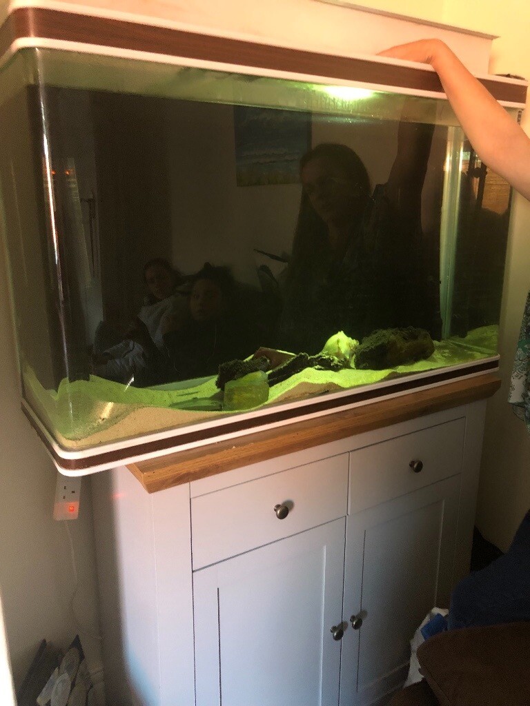 4ft x 2ft FULL tropical fish tank set up in Gateshead, Tyne and Wear