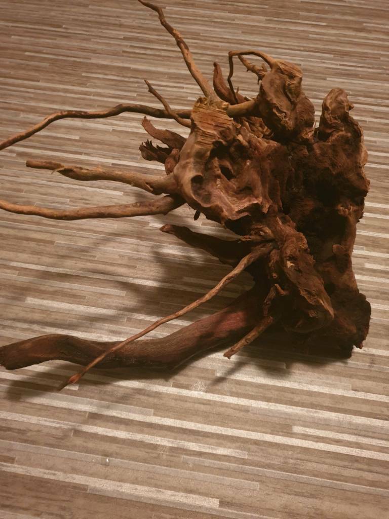 Bogwood for aquarium in Moseley, West Midlands Gumtree