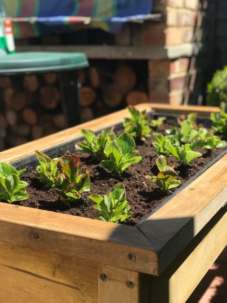 Wooden herb planter in Dartford, Kent Gumtree