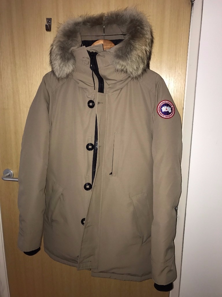 canada goose gumtree scotland canada goose gumtree scotland