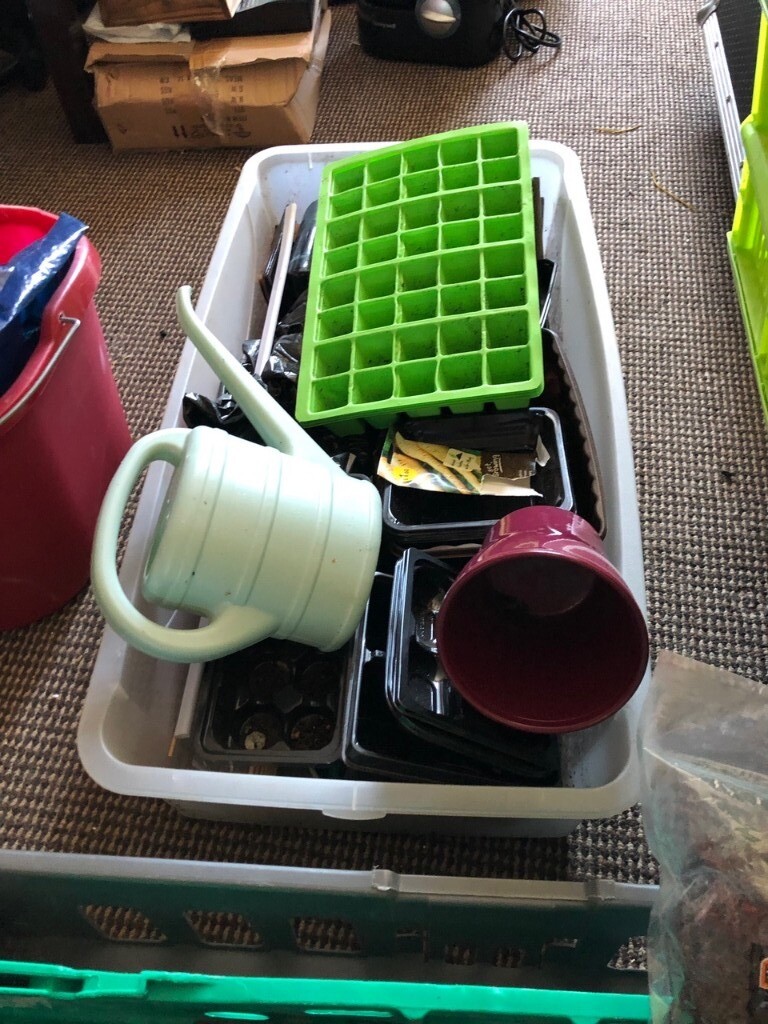 Free garden stuff in Falkirk Gumtree