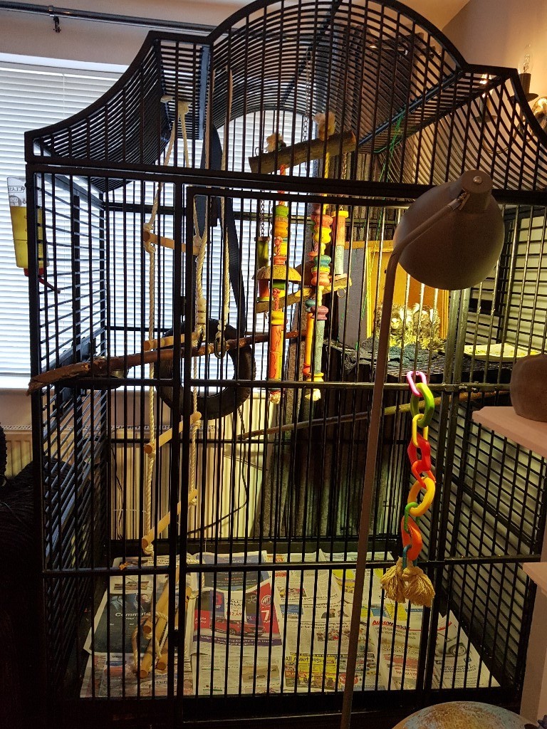 BARGAIN SALE Pet bird parrot cage in Kidlington, Oxfordshire Gumtree