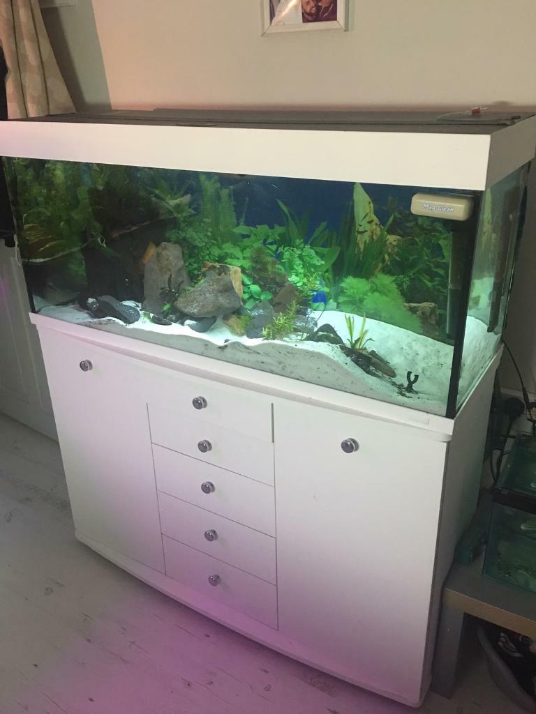 4ft Fish tank with stand and equipment in Shirehampton, Bristol Gumtree