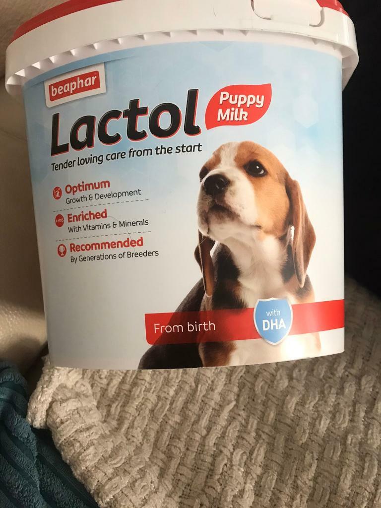 Lactol 2 kg tub lactol still sealed | in Perth, Perth and Kinross | Gumtree